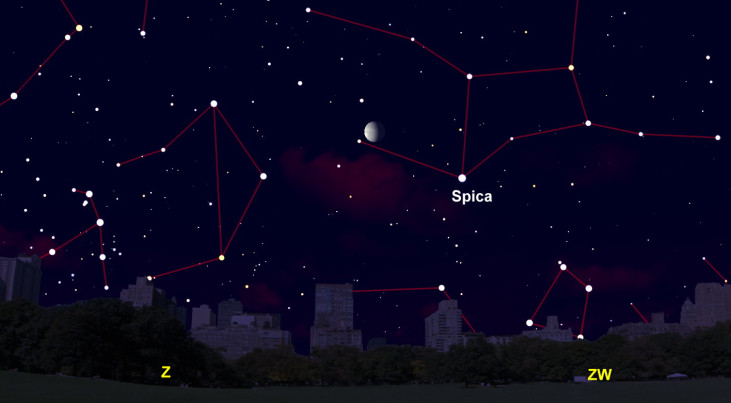 14 februari: Spica (Maagd) en maan (ochtend)