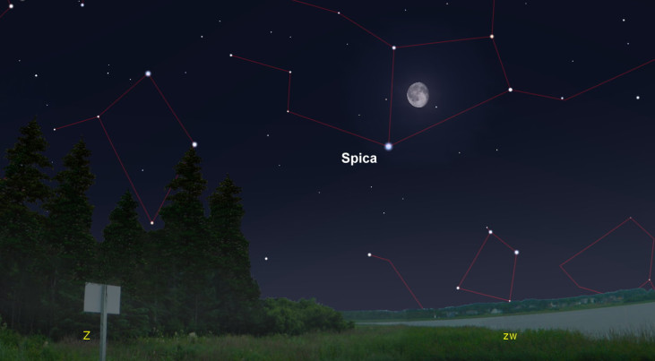 2 maart: Spica (Maagd) linksonder maan (ochtend)