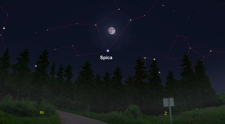 25 april: Blauwwitte ster Spica onder maan (avond)