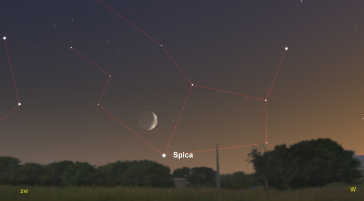 13 augustus: Spica (Maagd) rechtsonder maan (avond)
