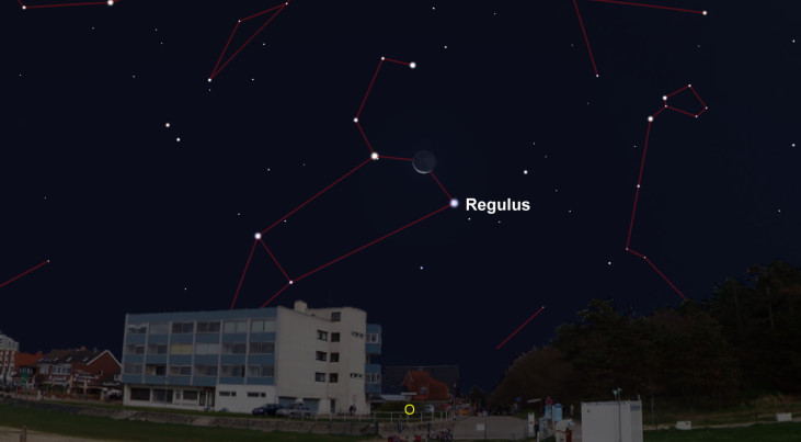 3 oktober: Regulus (Leeuw) rechtsonder maan (ochtend)