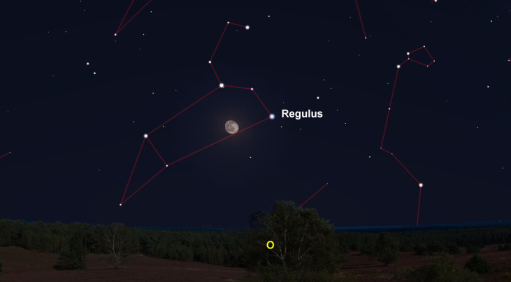 20 januari: Regelus rechts van maan