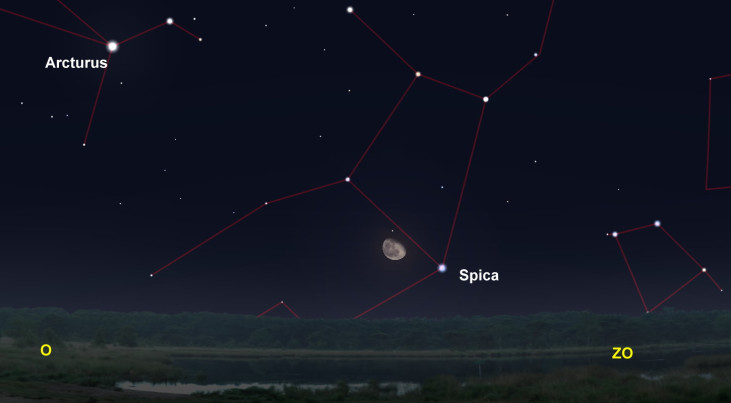 20 februari: Middernacht: Spica (Maagd) rechtsonder maan