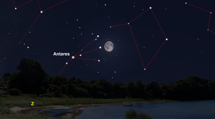 19 april: Antares (Schorpioen) links van maan