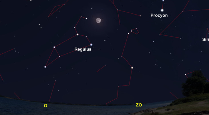5 februari: Regulus (Leeuw) linksonder volle maan