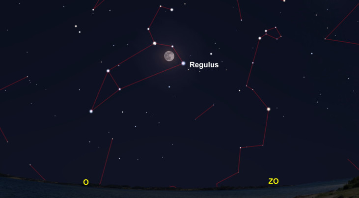 6 februari: Regulus (Leeuw) rechtsonder maan
