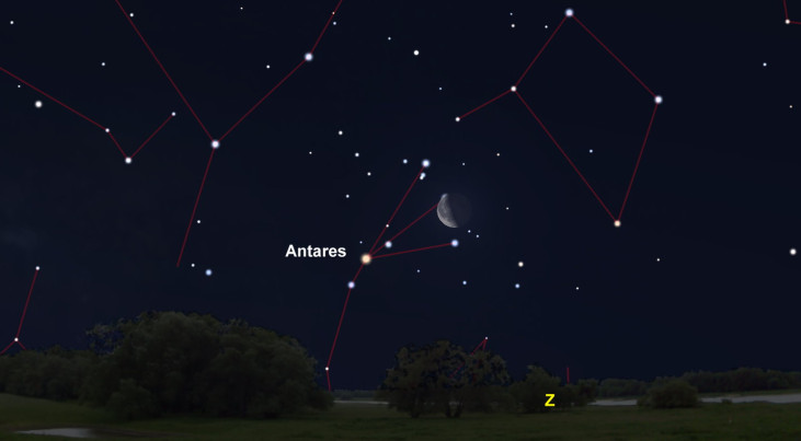 14 februari: Antares (Schorpioen) linksonder maan
