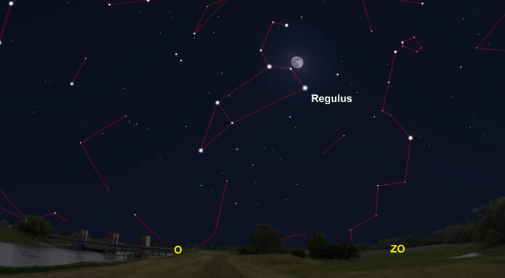 5 maart: Regulus (Leeuw) onder maan