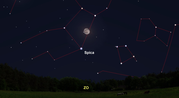 9 maart: Spica (Maagd) linksonder maan