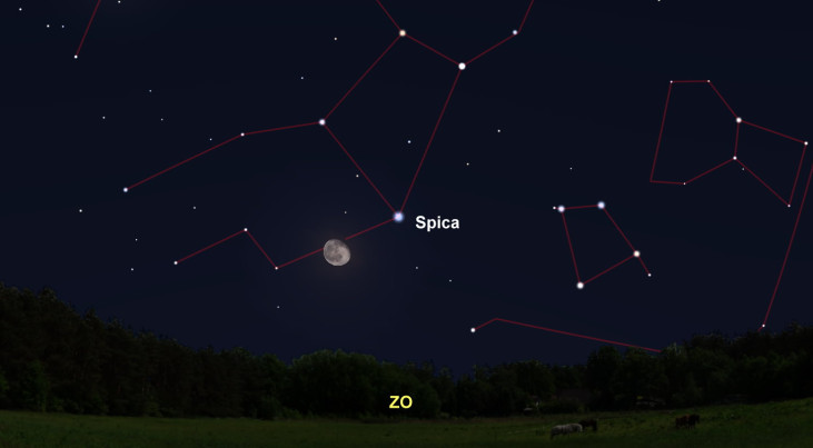 10 maart: Spica (Maagd) rechtsboven maan