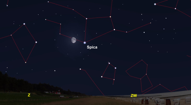 31 mei: Spica (Maagd) rechts van maan