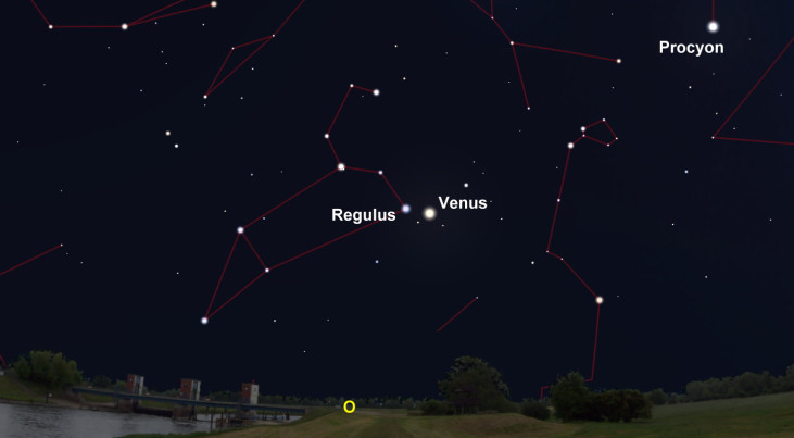8 oktober: Venus dicht bij Regulus (Leeuw)