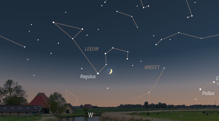 11 juni: Regulus (Leeuw) links van maan