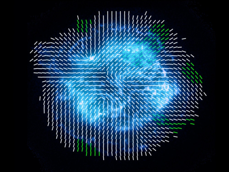 De magneetvelden van Cassiopeia A.