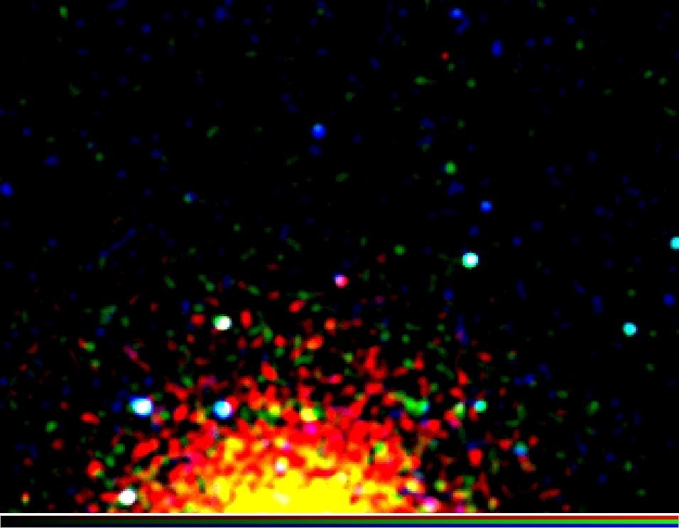 Kleurcompositie van de Chandra-opname uit 2004, waarin de zachte (minst energetische) straling in rood, de harde (meest energetische) straling in blauw en die daar tussenin in groen is weergegeven. Het rood-roze object in het midden is het met de supernov