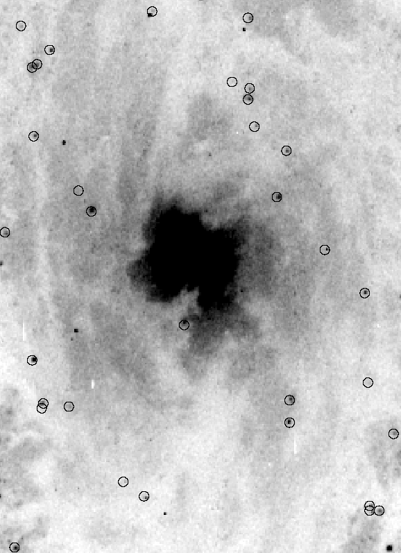 Detail-opname (in negatief) van de kern van M51. De blauwe reuzensterren zijn omcirkeld. Foto Hubble Space Telecope