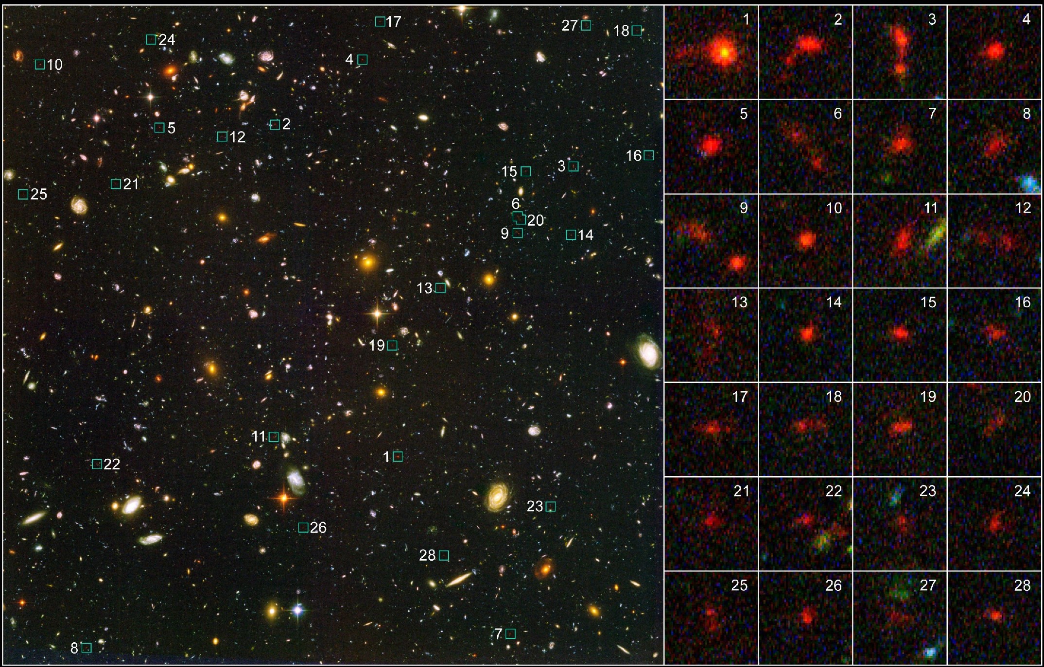 Deze afbeelding laat 28 van de 506 sterrenstelsels zien. Deze 28 sterrenstelsels liggen in het 'UDF', het Ultra Deep Field. De stelsels zijn genummerd in het plaatje links, en worden uitvergroot vertoond aan de rechterkant. De kleuren van de sterrenstelse