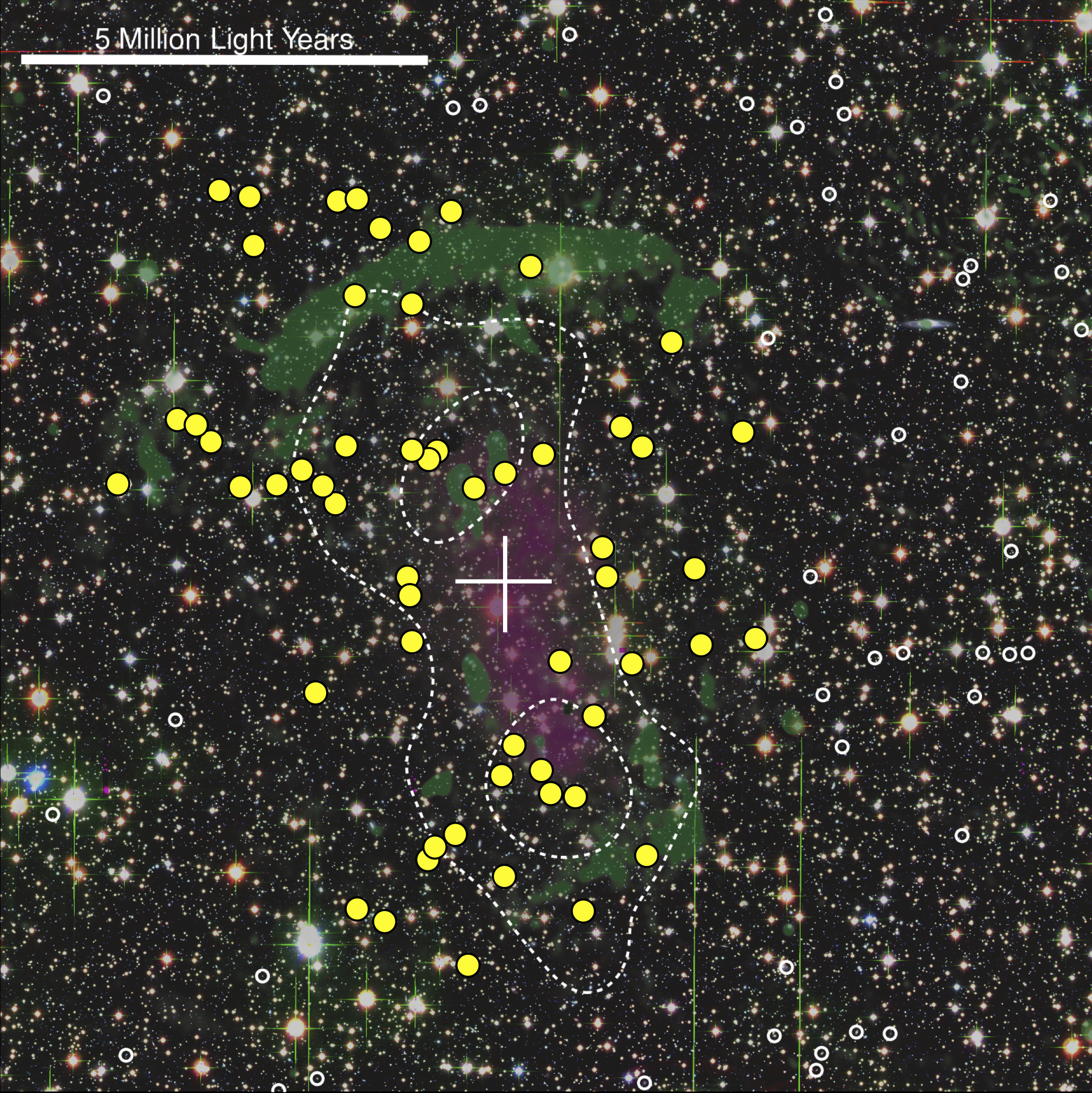 (Klik voor een grotere, volledige versie.) Een met behulp van verschillende telescopen samengevoegd beeld van het complete cluster van sterrenstelsels CIZA J2242.8+5310 (The Sausage). In de witte cirkels bevinden zich sterrenstelsels die niet bij het clus