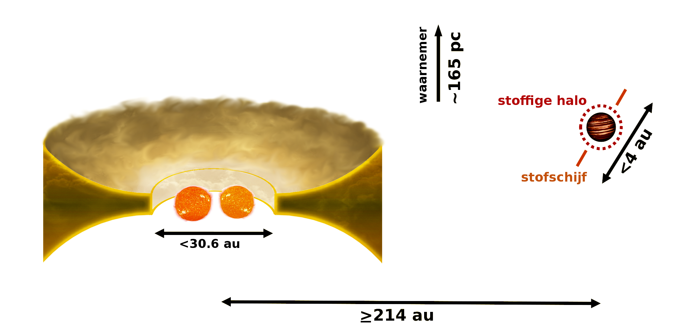 Infographic van de dubbelster CS Cha en de omringende stofschijf (links) met de nieuw ontdekte begeleider (rechts). De begeleider staat op meer dan 214 keer de afstand aarde-zon van de dubbelster, maar hoort er duidelijk bij. Het geheel bevindt zich ongev